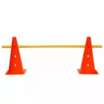 4 conos c/orificios + 2  bastones